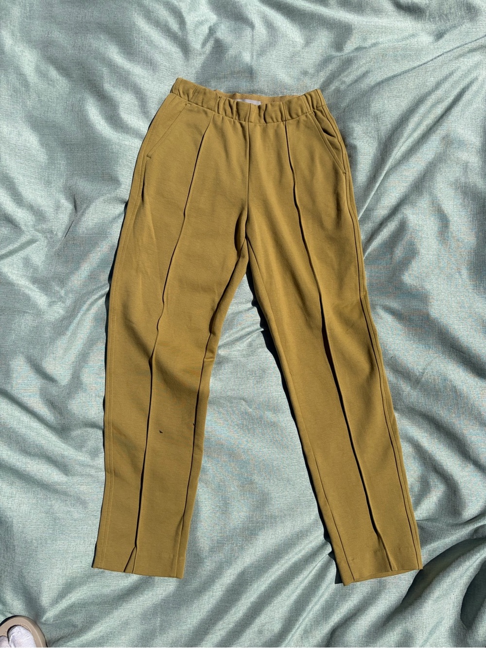Everlane Women’s Olive-Tan Stretch Pleated Pants